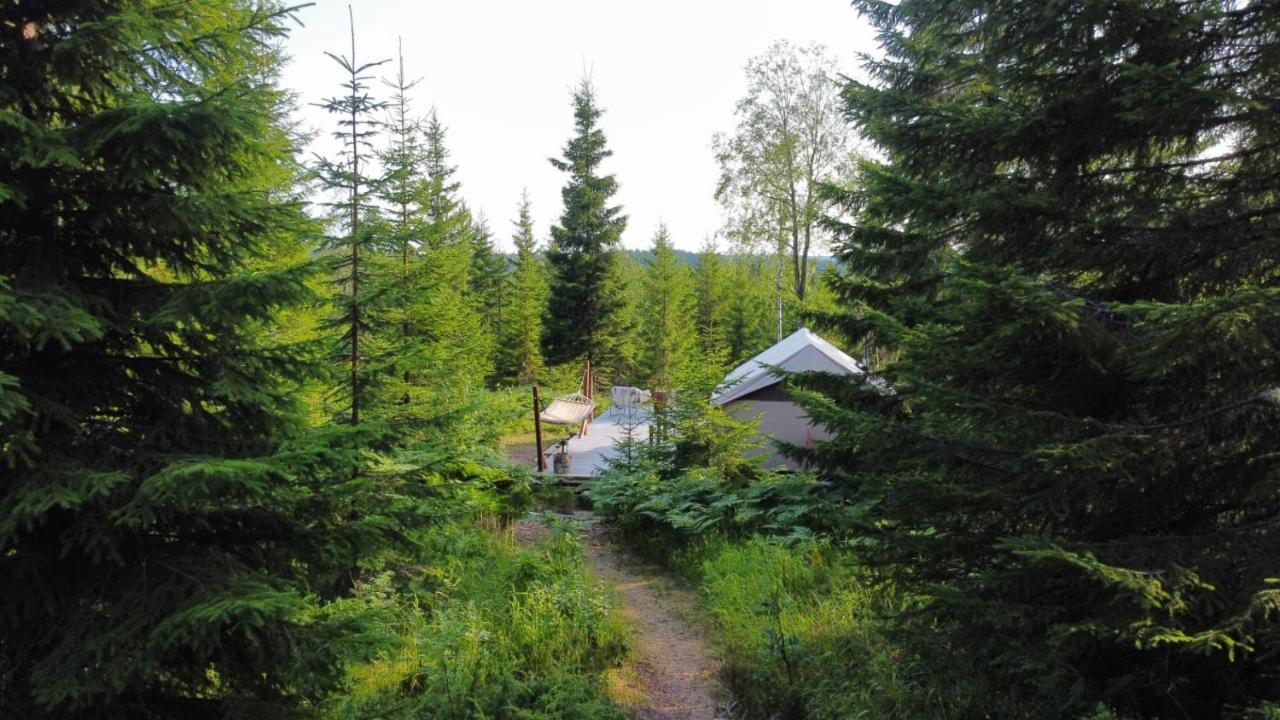 Glamping Tent With Amazing View In The Forest Torsby Eksteriør billede