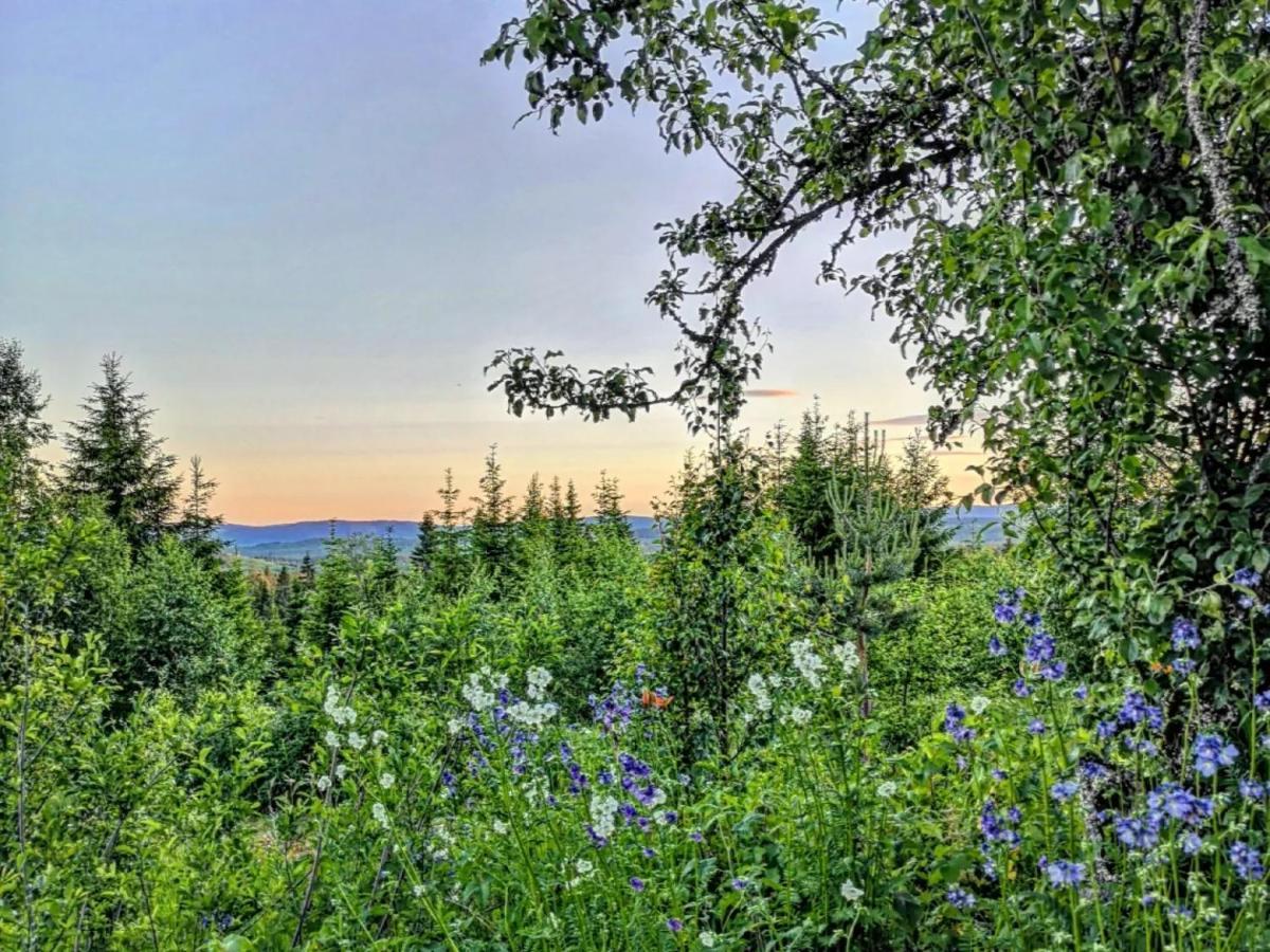 Glamping Tent With Amazing View In The Forest Torsby Eksteriør billede