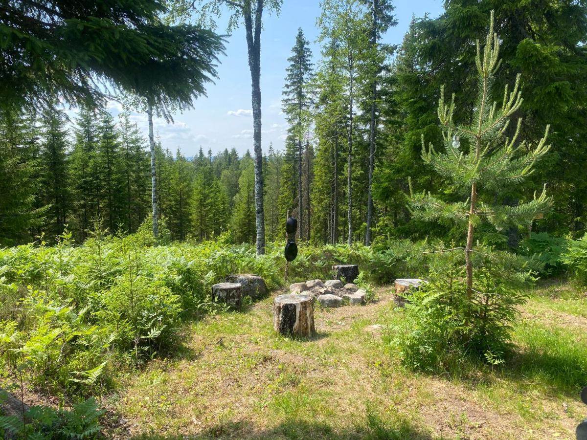 Glamping Tent With Amazing View In The Forest Torsby Eksteriør billede