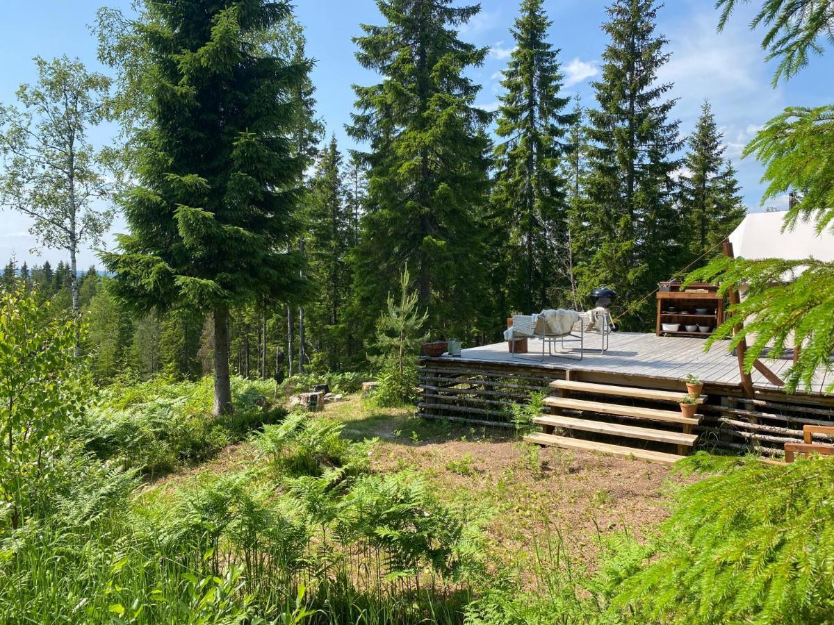 Glamping Tent With Amazing View In The Forest Torsby Eksteriør billede
