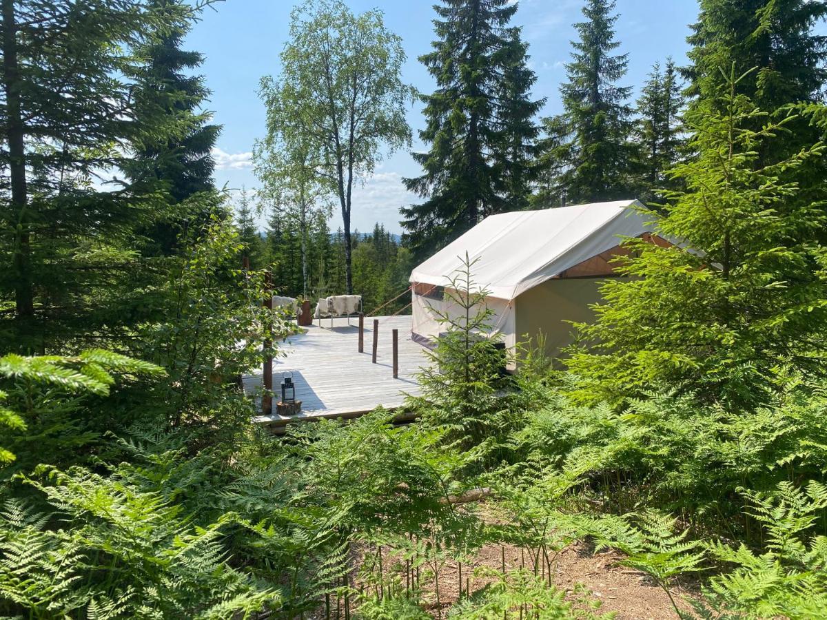 Glamping Tent With Amazing View In The Forest Torsby Eksteriør billede