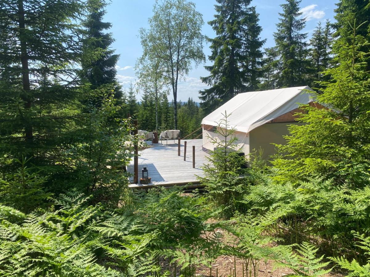 Glamping Tent With Amazing View In The Forest Torsby Eksteriør billede